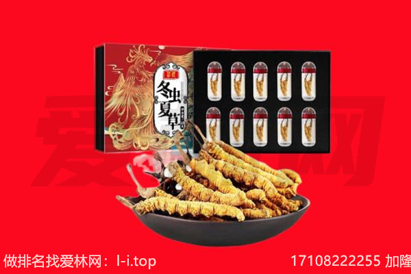 周口市项城回收虫草.jpg
